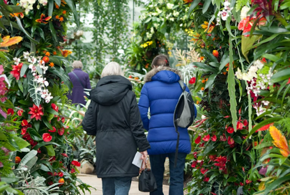 Royal Botanic Gardens Kew Entry Ticket