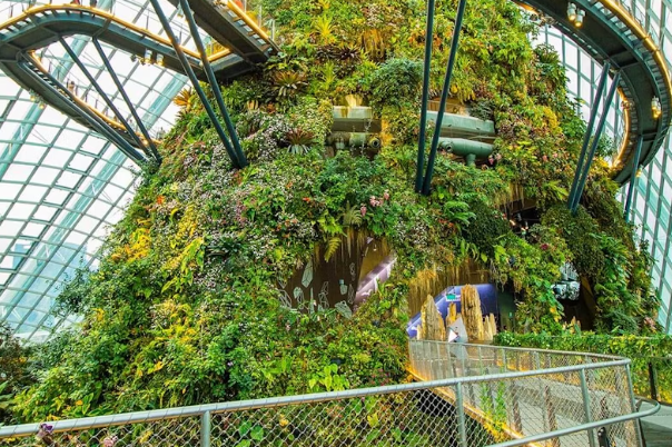 Gardens by the Bay Flower Dome & Cloud Forest (Optional)