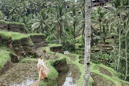 Best of Ubud: Monkey Forest, Rice Terraces, Tegenungan Waterfall & Temples